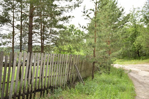 A dirt path along an old wooden fence Ulyanovsk Russia