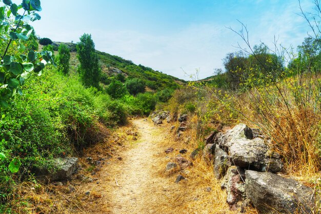 Dirt path in Sardinian countryside Italy