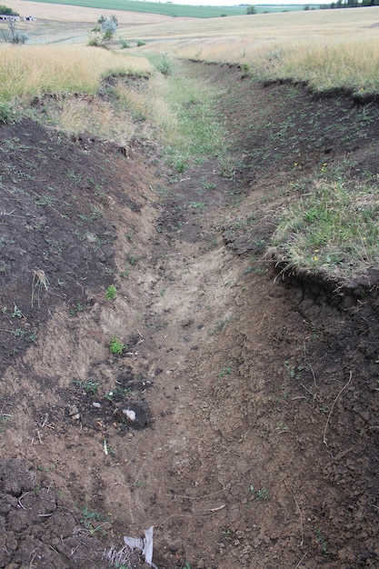 Photo a dirt path with grass and rocks