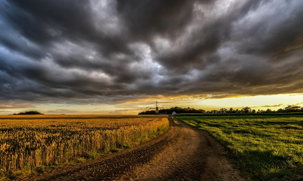 dirt road amidst agricultural field against cloudy sky