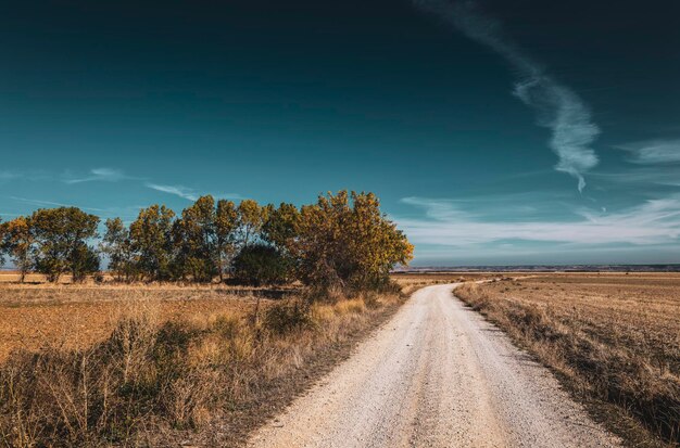 Photo dirt road amidst field against blue sky