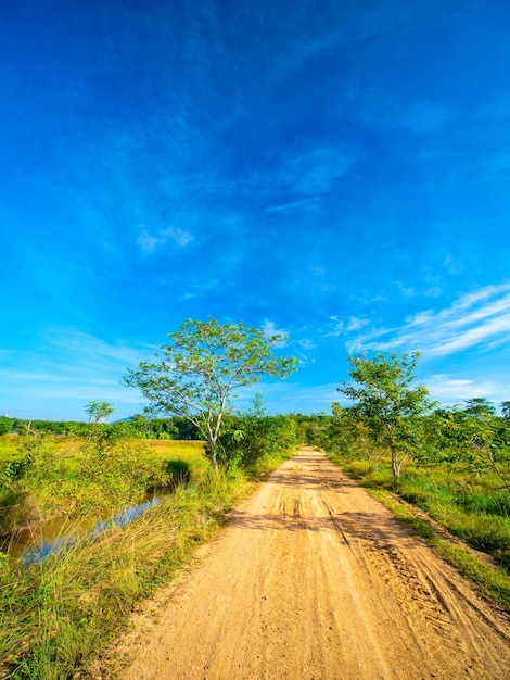 Dirt road amidst field against blue sky