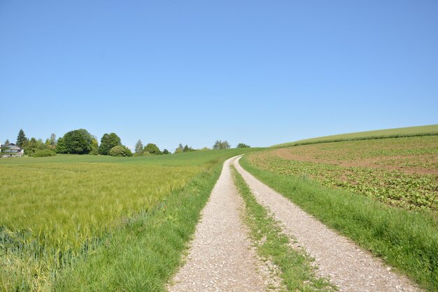 Photo dirt road amidst field against clear blue sky