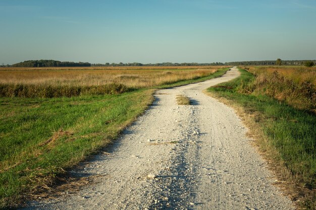 写真 空に向かって野原の真ん中の泥道