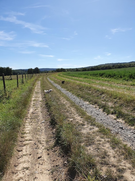 Photo dirt road amidst field against sky