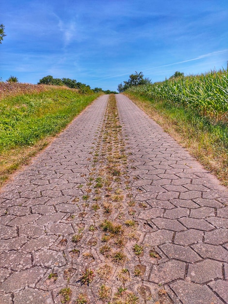 Foto strada di terra in mezzo al campo contro il cielo