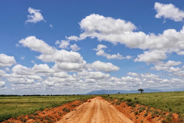 Dirt road amidst field against sky