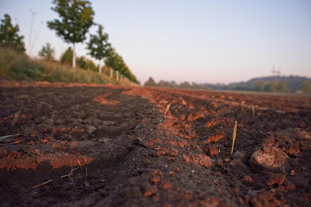 Foto strada di terra in mezzo al campo contro il cielo