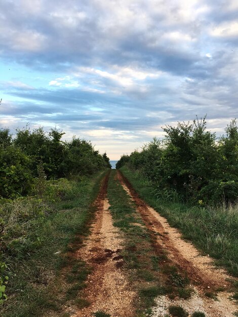 Dirt road amidst trees against sky