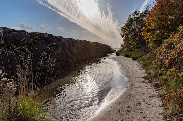 写真 空に照らされた木々の中の泥道