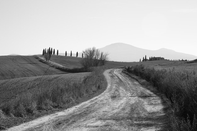 Foto strada di terra sul campo contro un cielo limpido