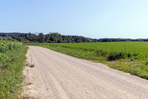 フィールド内の未舗装の道路 フィールドの領域を通過する交通のための未舗装の道路
