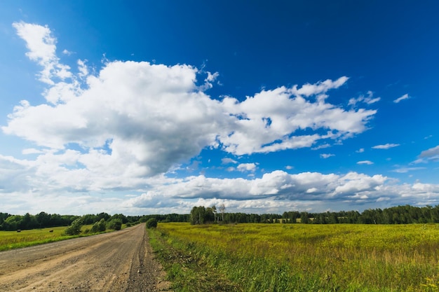 A dirt road in a field with a blue sky and clouds