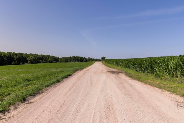 Dirt road in the field