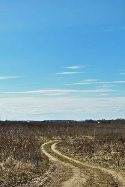 Dirt road in the field