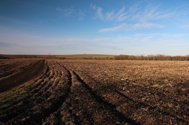 A dirt road in a field