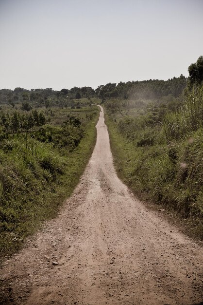 Photo dirt road in grassy field