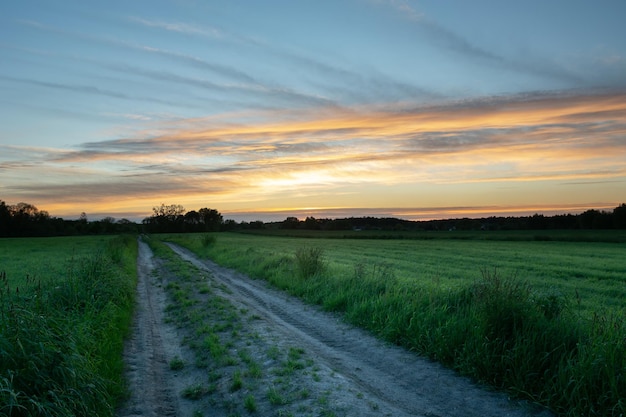 Photo dirt road between green fields and clouds after sunset