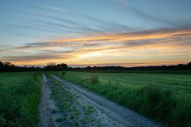 Dirt road between green fields and clouds after sunset