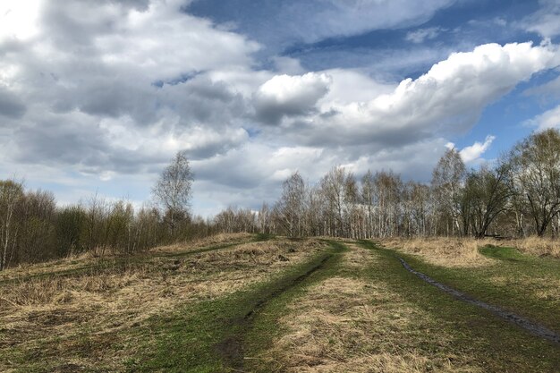 Dirt road on hill with bare trees on top in spring