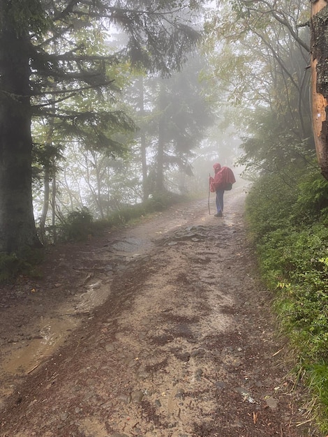 写真 山の中の未舗装の道路と、ポンチョ霧の天気の背景の観光客