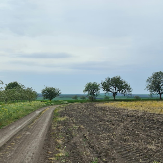 未舗装の道路は、左側に畑と木々がある野原の中にあります。