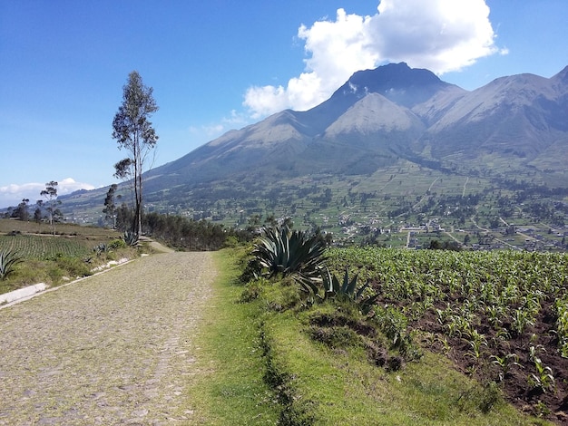 Dirt road leading towards a mountain A country road leading to the mountains Banos