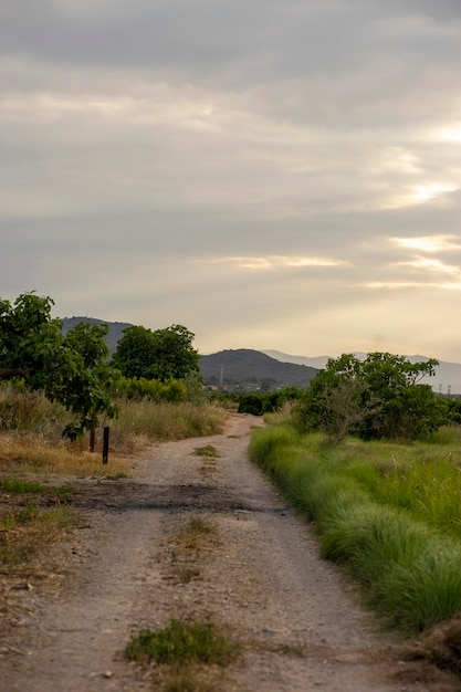 A dirt road leads to the mountains