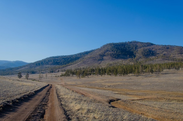 A dirt road in the middle of the field goes into the distance to the mountains and forest