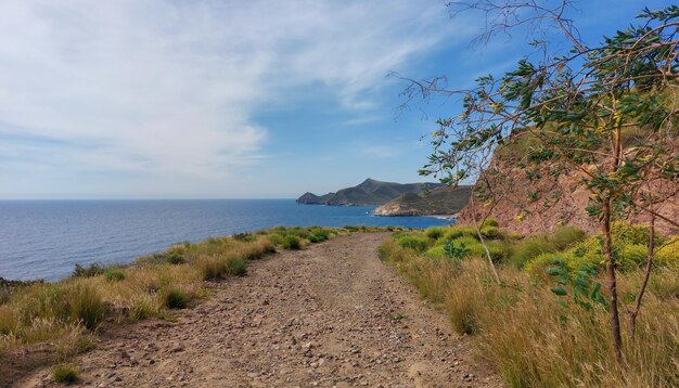 Photo dirt road in the mountain