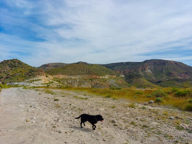 Photo dirt road in the mountain