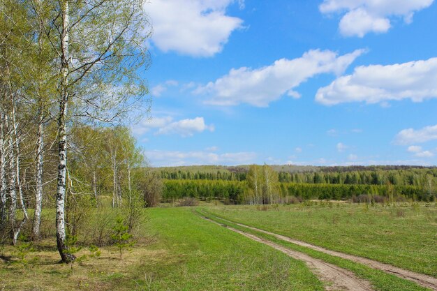 Фото Грунтовая дорога, проходящая через поле и через лес