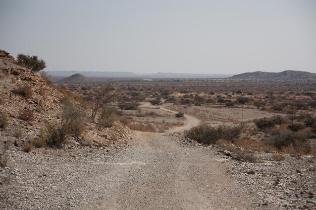 Photo dirt road passing through a desert