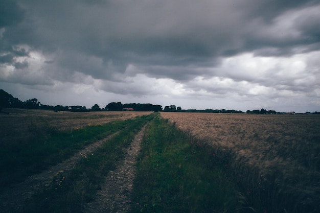 Photo dirt road passing through field against cloudy sky