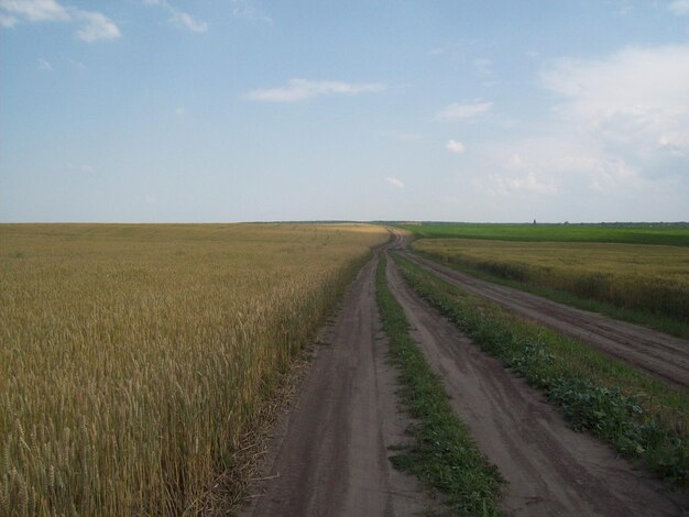 Dirt road passing through field against sky