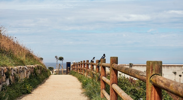 Dirt road for a relaxed walk or jog in the city with sea views