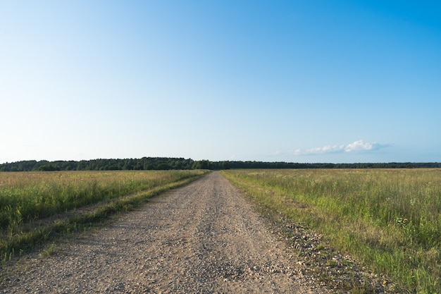 夏の田園地帯の未舗装道路