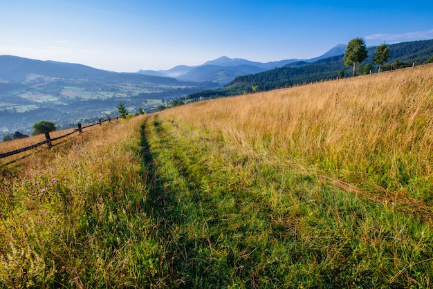 Dirt road in the summer