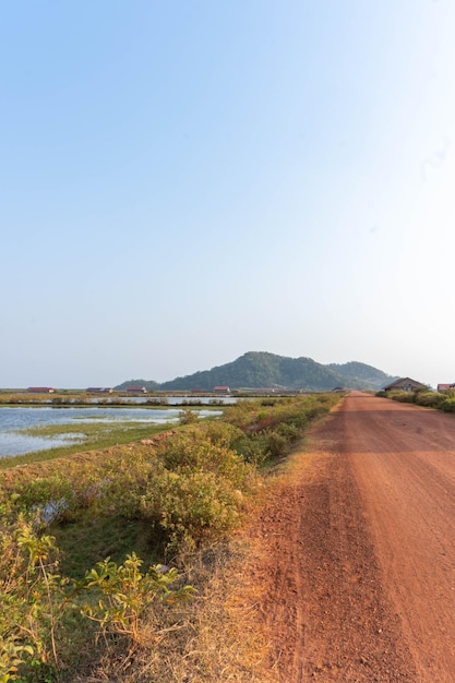 Dirt road surrounded by rice fields xA