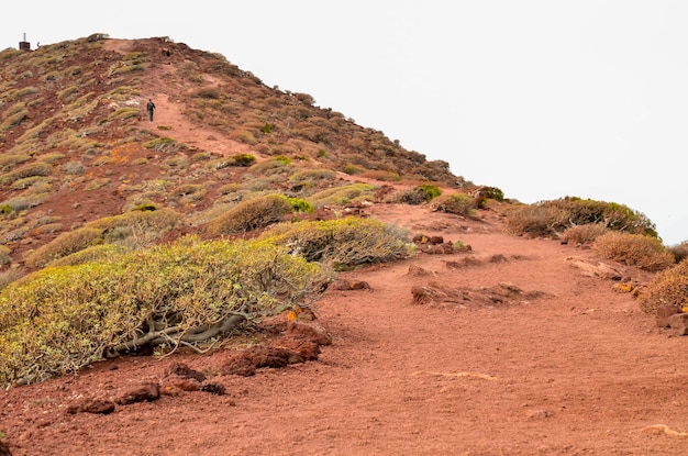 Dirt Road through the Desert in Tenerife Island Spain