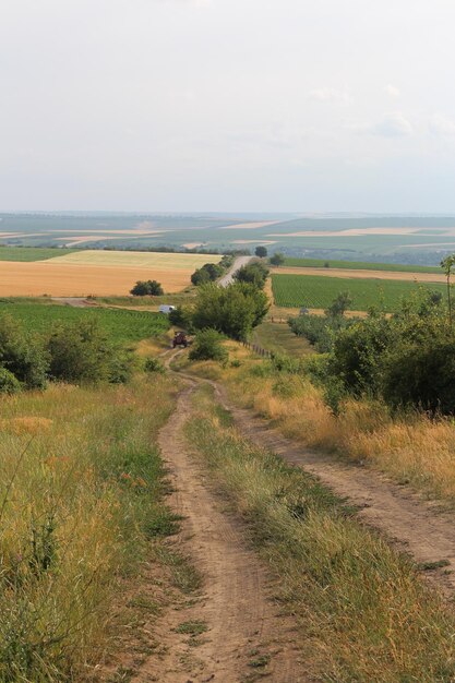 A dirt road through a field