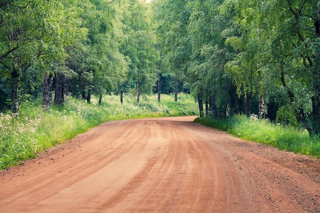 森の中の未舗装の道路