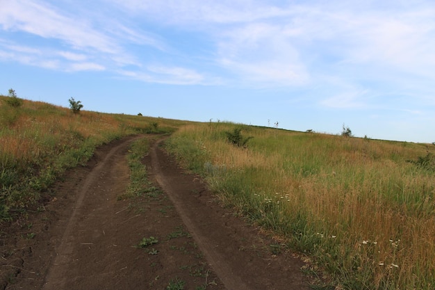 A dirt road through a grassy field