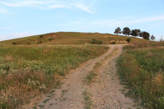 Photo a dirt road through a grassy hill