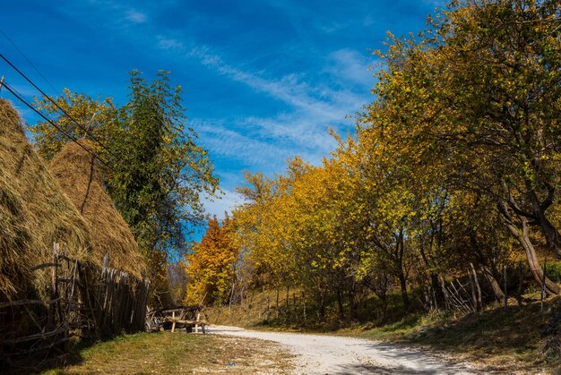 Dirt road through mountain village colorful autumn forest and wooden house