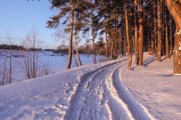 Dirt road through the snow going through the forest. Winter landscape