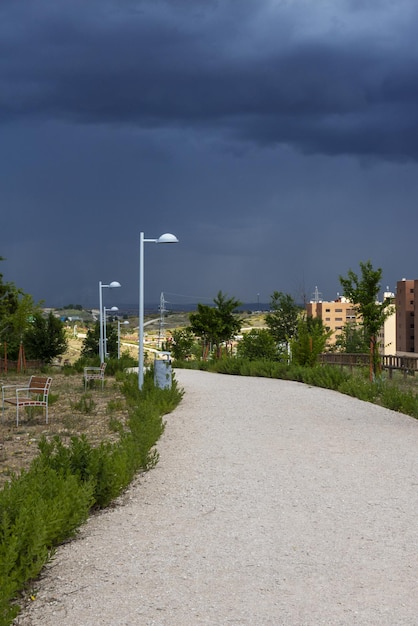 A dirt road in an urban park with young trees