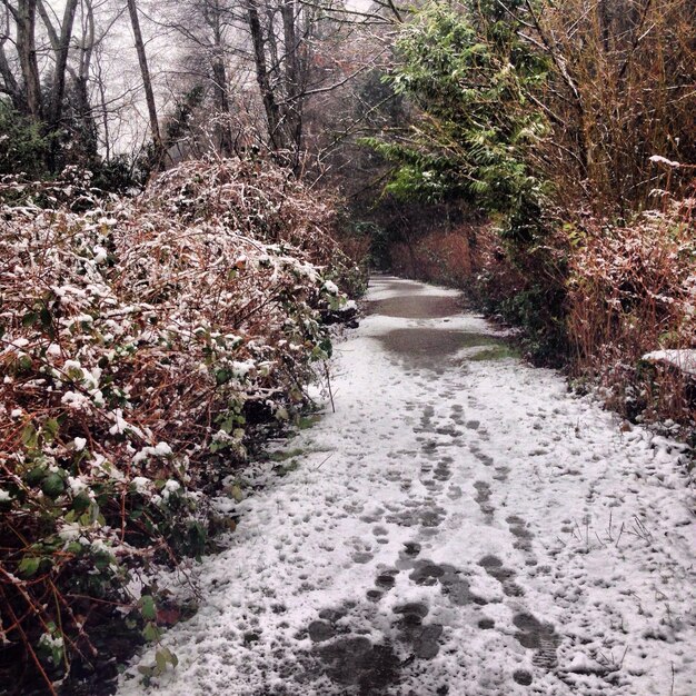 Photo dirt road in winter