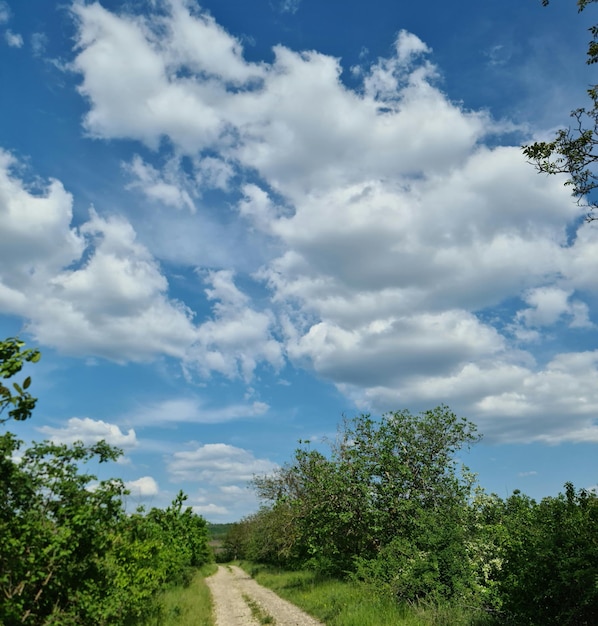 A dirt road with a blue sky and clouds