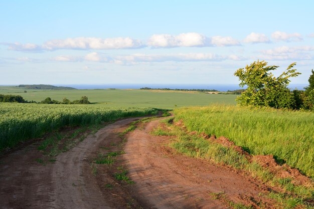 Foto una strada di terra con un campo verde e una catena di nuvole nel cielo